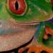tattoo galleries/ - Realistic tree frog - 64072